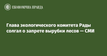 Глава экологического комитета Рады солгал о запрете вырубки лесов - СМИ