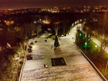 В парке «Зеленый Гай» установили елку (ФОТО)