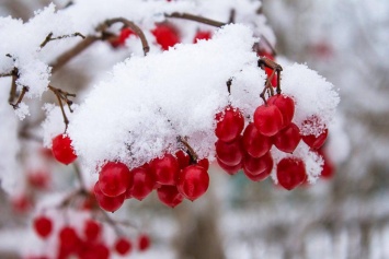 Синоптики прогнозируют ухудшение погодных условий в Киеве - снег, гололед