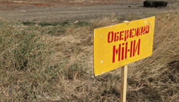 С начала агрессии РФ на Донбассе от мин погибли 300 гражданских, 27 из них - дети