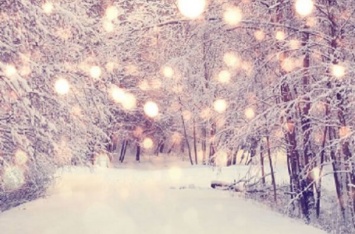 Гороскоп на декабрь: с кем из знаков Зодиака произойдет новогоднее чудо