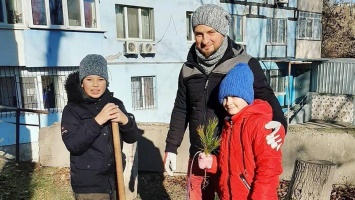 В Днепре жители жилмассива Сокол высадили более 500 сосен