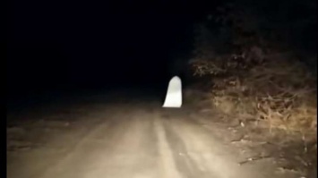 Люди среди ночи засняли на дороге "чудовище" в мантии (видео)