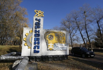 Украинцев ошарашили свежим видео из Чернобыльской зоны: на фотоловушки сняли уникальных животных