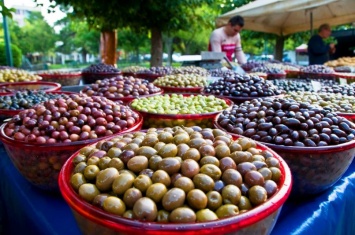Грузия готовится принять на год председательство в Международном совете по оливкам