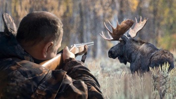 Охота без правил: как работают браконьеры в Украине и кто их крышует