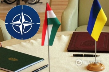 Снова стали на ''тропу войны'': в Венгрии сделали заявление об Украине в НАТО