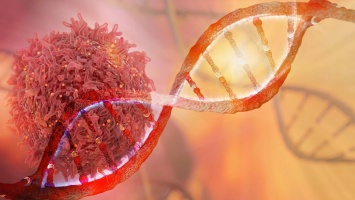 Ученые выявили вещества, способные «пробуждать» лимфоциты для борьбы с раком