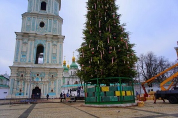 На Софийской площади в Киеве установили главную елку страны: фото новогодней красавицы