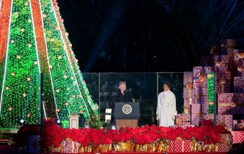 Трамп зажег огни на главной рождественской елке