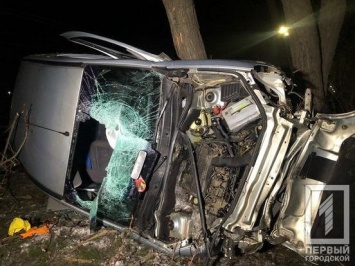 ДТП в Кривом Роге: Renault снес дерево и столб