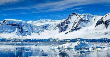 Оказалось, что в Антарктиде у людей... "сохнет" мозг