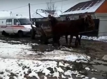 На Закарпатье лошади "спасали" машину скорой помощи (видео)