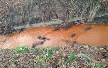 В киевском парке вода в ручье стала ржавой