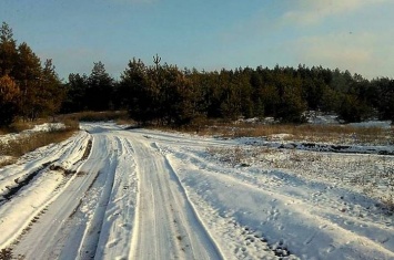 Где и по какой цене можно купить елку в Луганской области
