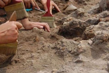 Древние украшения и монеты: под Киевом откопали настоящий клад