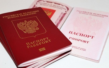 Инициатива поспособствует оптимизации приема в российское гражданство более чем 172 тысяч украинцев