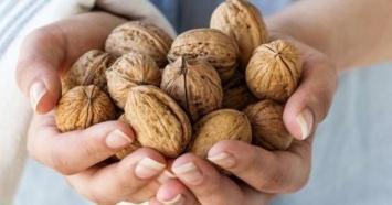 Грецкие орехи приносят половину всей экспортной выручки плодоовощного сектора Украины