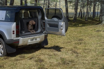 Jaguar Land Rover испытывает прочность ЛКП с помощью собачьей лапы (ФОТО)
