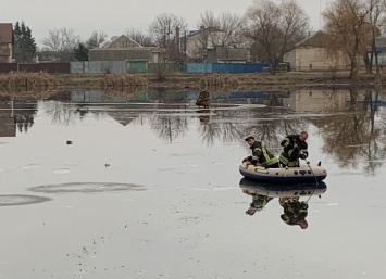 Из озера под Киевом спасли собаку (фото)