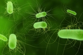 Ученые помогли бактериям конвертировать CO2 в полезные химикаты