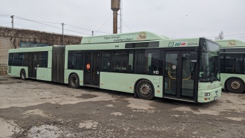 Как ведут себя на дорогах Днепра новые "автобусы-гармошки"?