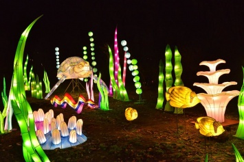 Чем удивил фестиваль китайских фонарей в Киеве