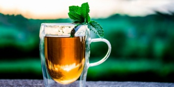 15 декабря отмечают Международный день чая: все о любимом напитке