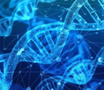 Американский генетик разработает приложение для «ДНК-знакомств»