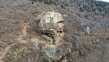 В Китае нашли своего "сфинкса"