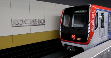 Полицейские задержали стрелявшего в тоннель московского метро