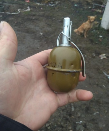 В Новомосковске у мужчины изъяли гранату