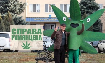 Суд впервые оправдал украинца за выращивание конопли: им оказался житель Николаевщины