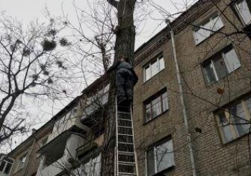 Харьковского скалолаза пришлось задействовать в необычной спасательной операции (фото)