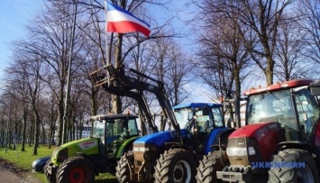 В Нидерландах фермеры митингуют