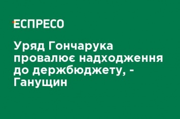 Правительство Гончарука проваливает поступления в госбюджет, - Ганущин