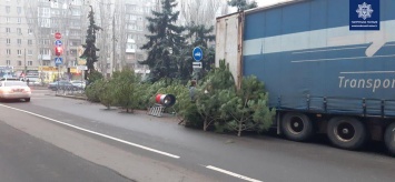 Спасатели дали советы по использованию пиротехники и безопасной установке елки (ВИДЕО)