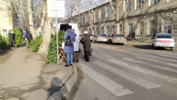 Продавец елок перегородил пешеходный переход (видео, фото)