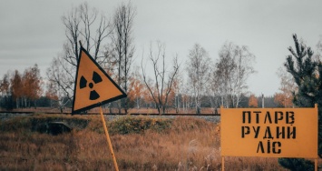 Горячая зима сводит сума животных в Чернобыльской зоне: фото впечатляют