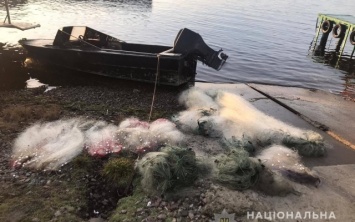 На Херсонщине водные полицейские разоблачили браконьеров