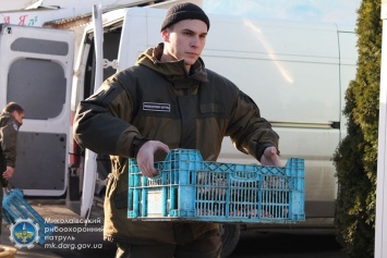 Николаевский рыбоохранный патруль передал полтонны рыбы на благотворительность (ФОТО)