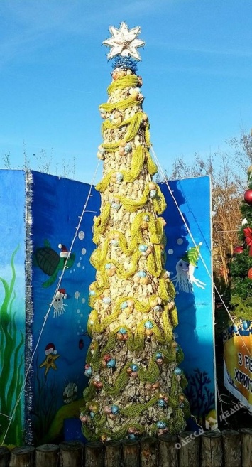 Под Одессой установили новогоднюю красавицу из хищных моллюсков (фото)