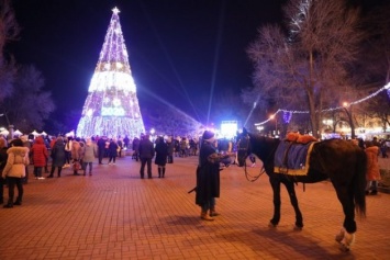 В Запорожье засияла главная елка города (ФОТО)