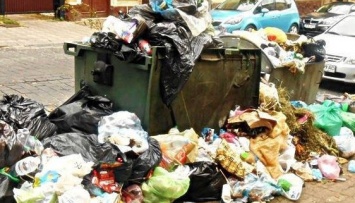 В Черновцах уже четвертый день не вывозят мусор из-за забастовки селян
