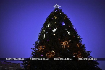 В Павлограде зажглась новогодняя елка (ФОТО и ВИДЕО)