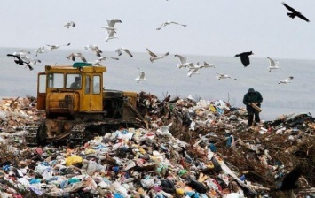 В Мариуполе 54 ОСМД начнут зарабатывать на мусоре