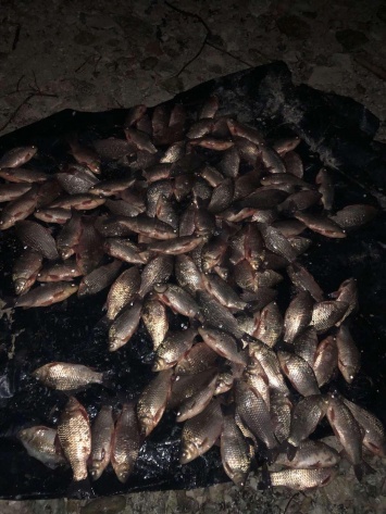 «Удачная» рыбалка: житель Херсонщины задержан на браконьерстве