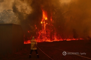 Перевалило за +40: в Австралии случилось аномальное огненное ЧП