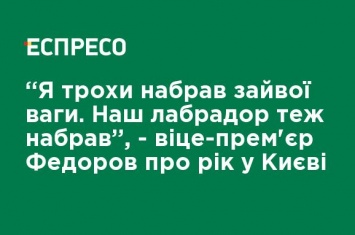 "Я немного набрал лишнего веса. Наш лабрадор тоже набрал ", - вице-премьер Федоров о годе в Киеве