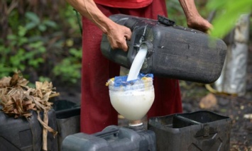 На Филиппинах из-за употребления кокосового вина погибли 8 человек